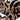 Candace Stool Leopard Chenille