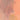 Bellini I Canvas Painting