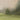 Green Meadows Canvas Painting
