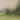 Green Meadows Canvas Painting