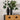 Blair Porcelain Vase