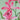 Pink Orchid Enhanced Canvas Print