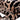 Candace Stool Leopard Chenille