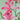 Pink Orchid Enhanced Canvas Print